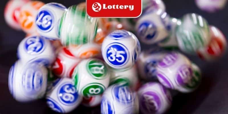 Cách nuôi lô 3 ngày dễ áp dụng cho người mới