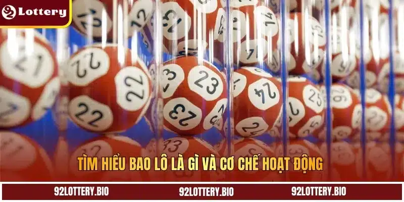Tìm hiểu bao lô là gì và cơ chế hoạt động